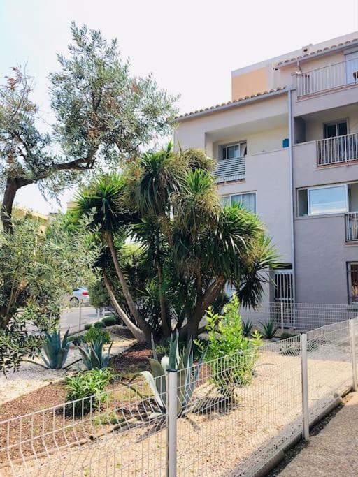 Appartement T2 Au Port De Canet-En-Roussillon - Proche De La Plage Et De L'Aquarium Oniria ภายนอก รูปภาพ